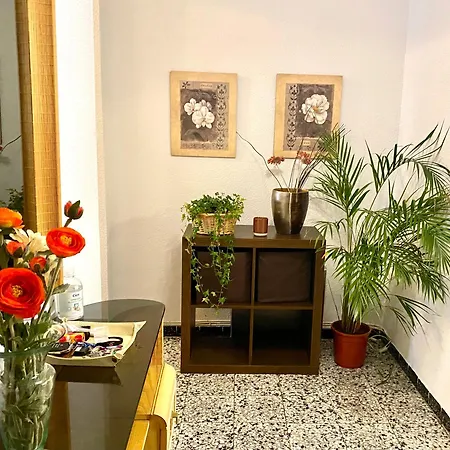 Homestay Habitacion My Alicante